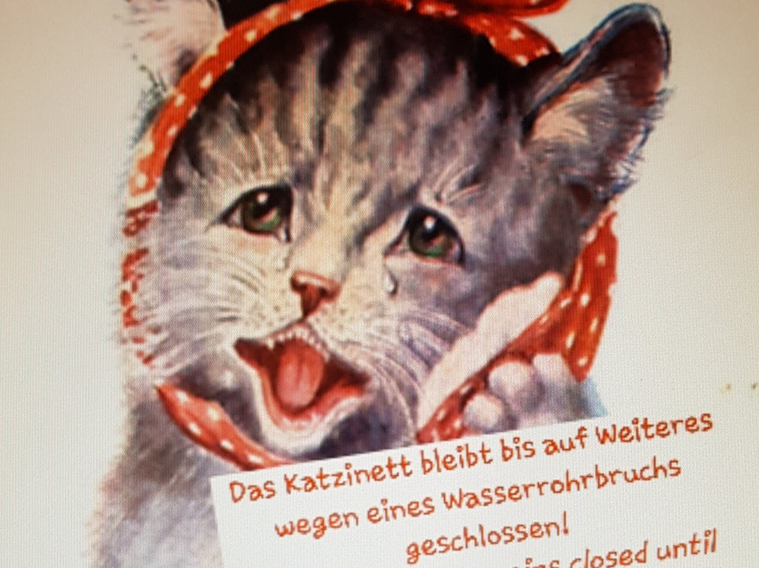 Katzinett - Katzenmuseum Ludwigshafen - Cat Museum景点图片