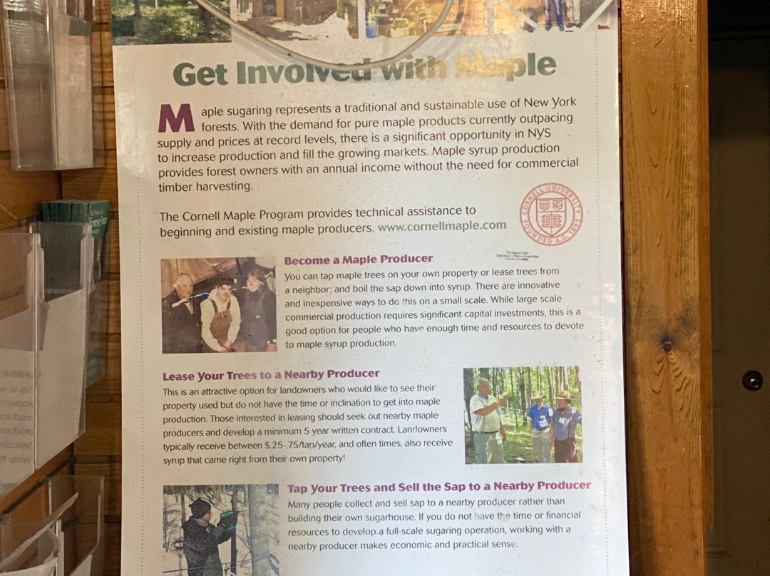 Uihlein Maple Research Forest-普莱西德湖必去景点