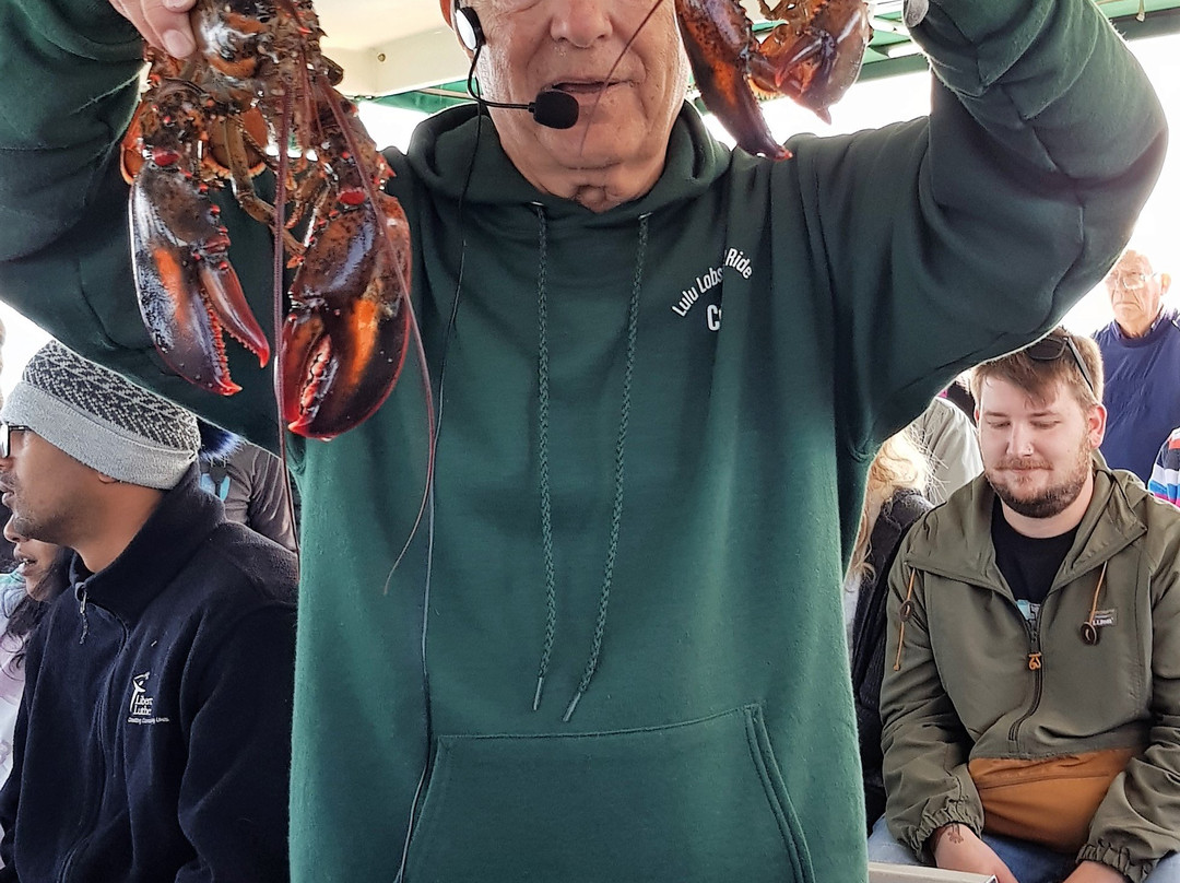 Bar Harbor Boat Tours-巴港必去景点