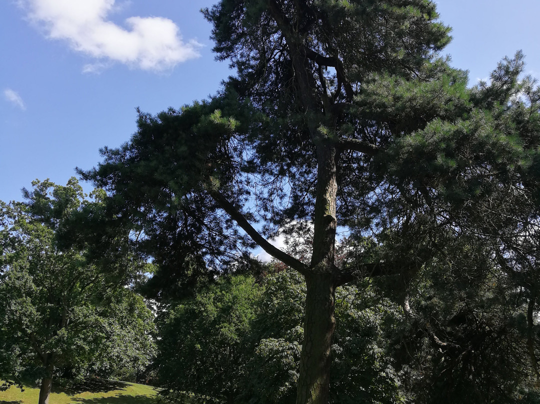 Christchurch Park-伊普斯威奇必去景点