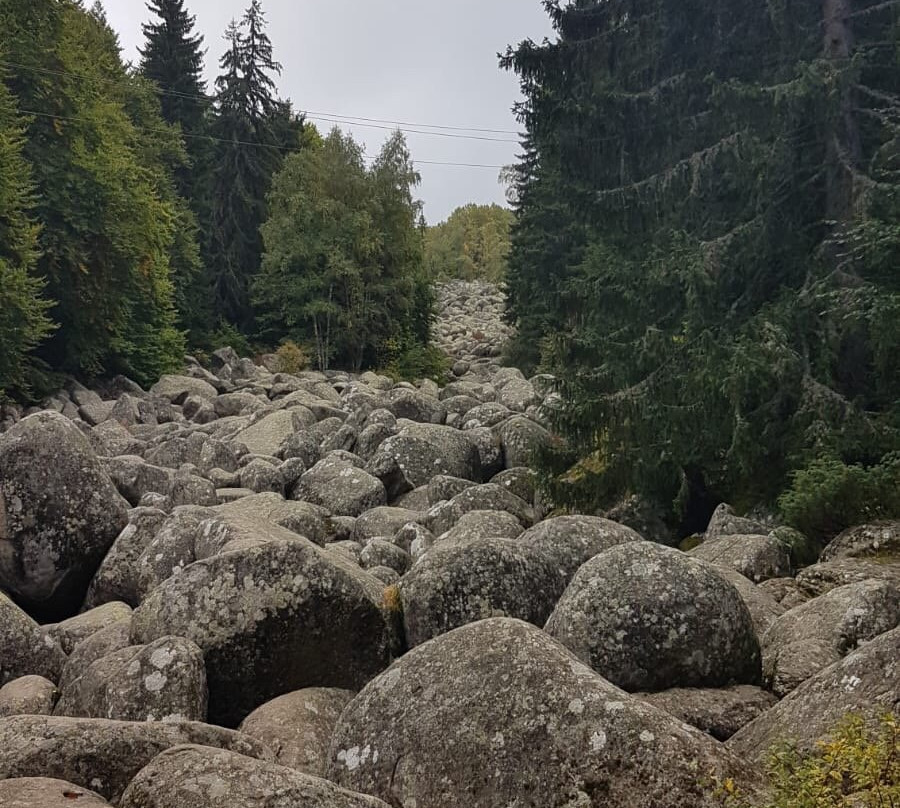 Sofia Green Tour-索非亚必去景点