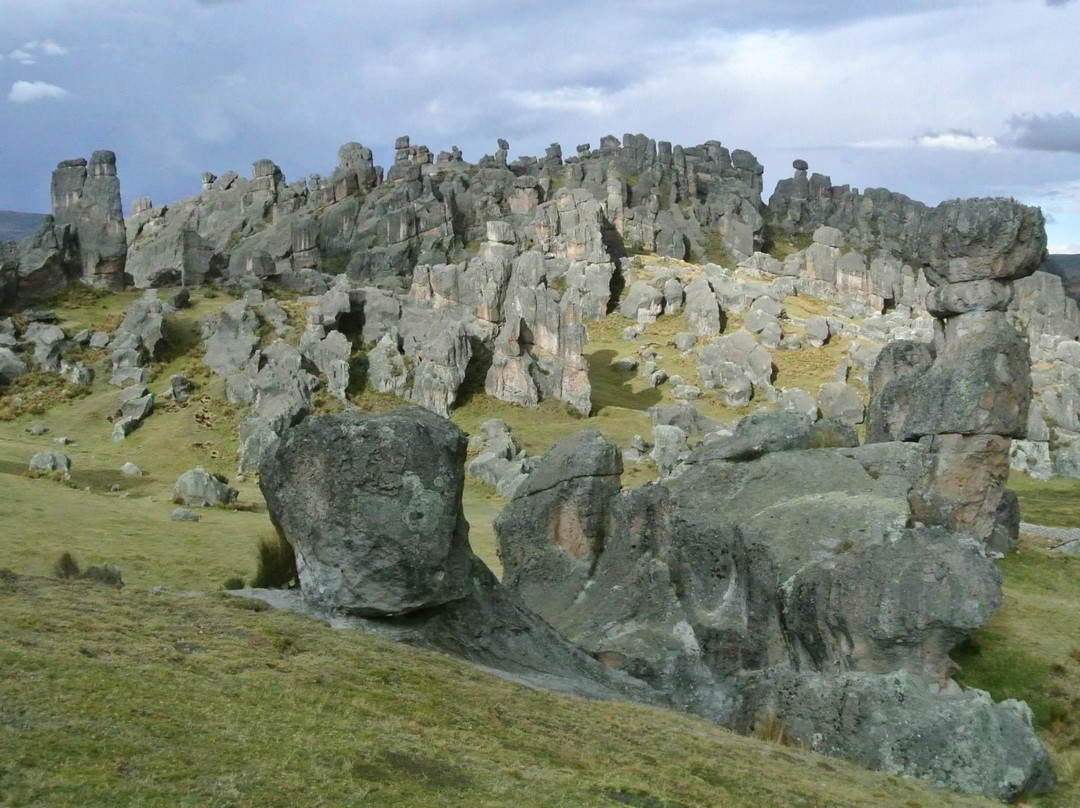 Pasco Region旅游攻略图片