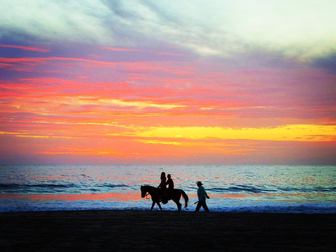 Playa Mancora-Mancora必去景点