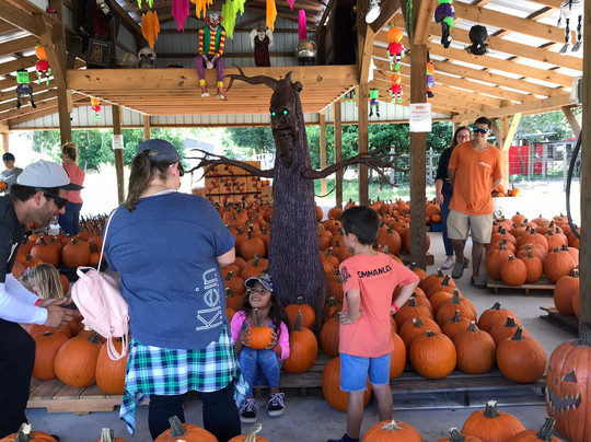 HarvestMoon Fun Farm-Masaryktown必去景点
