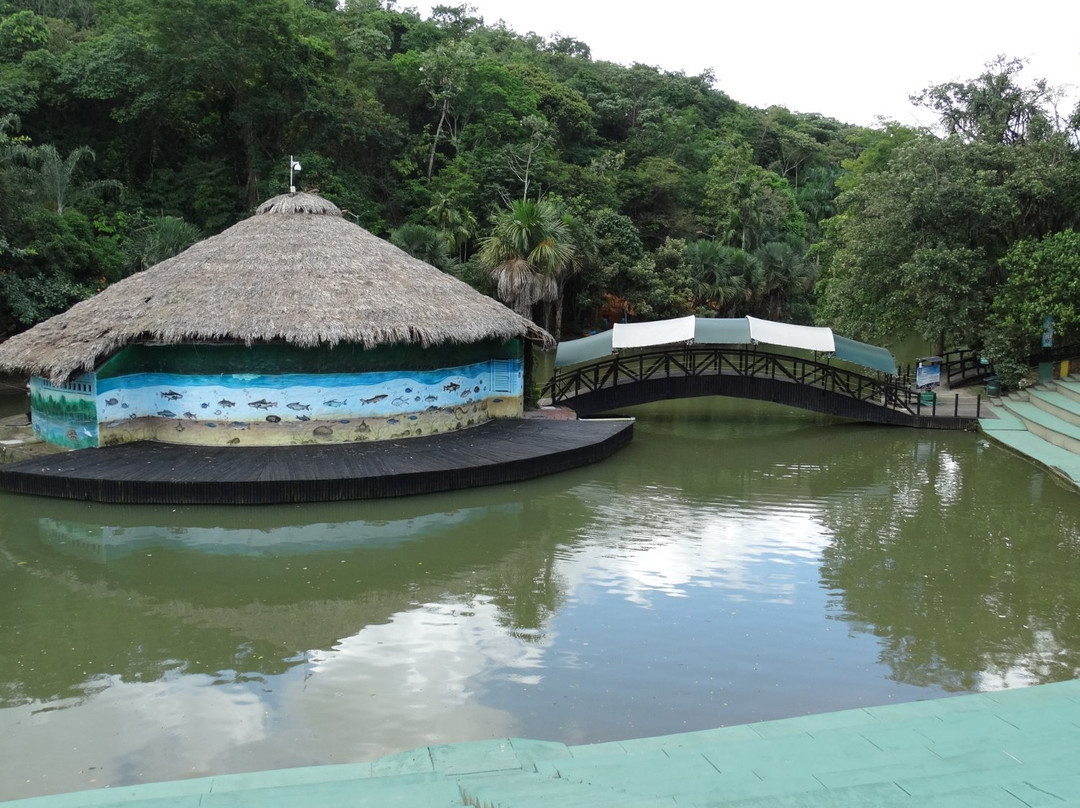 Bioparque Los Ocarros景点图片