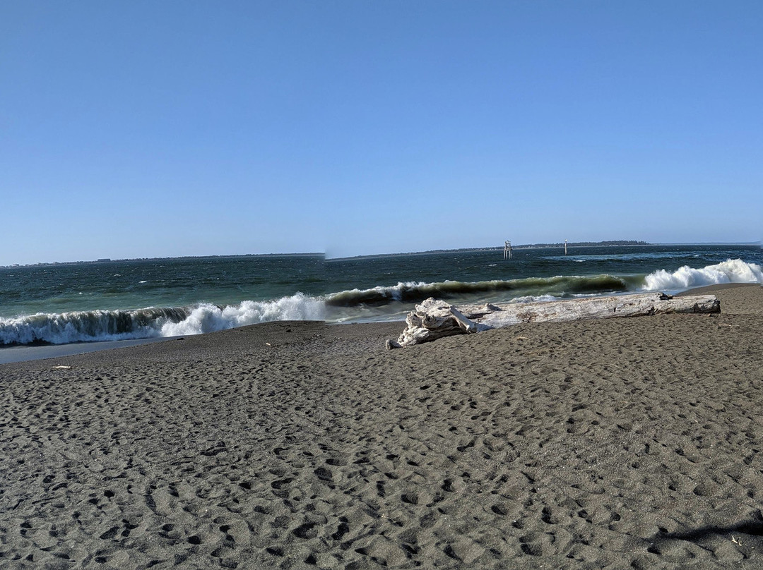 Grays Harbor Lighthouse景点图片