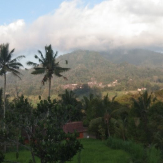 Pondok Uma Ayu Sidemen主图