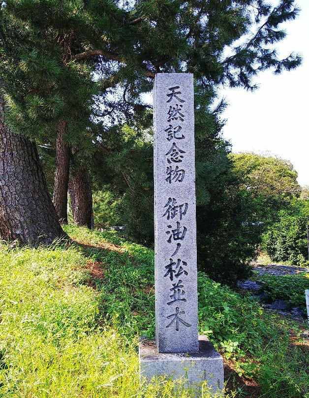 Goyu Street-丰川市必去景点