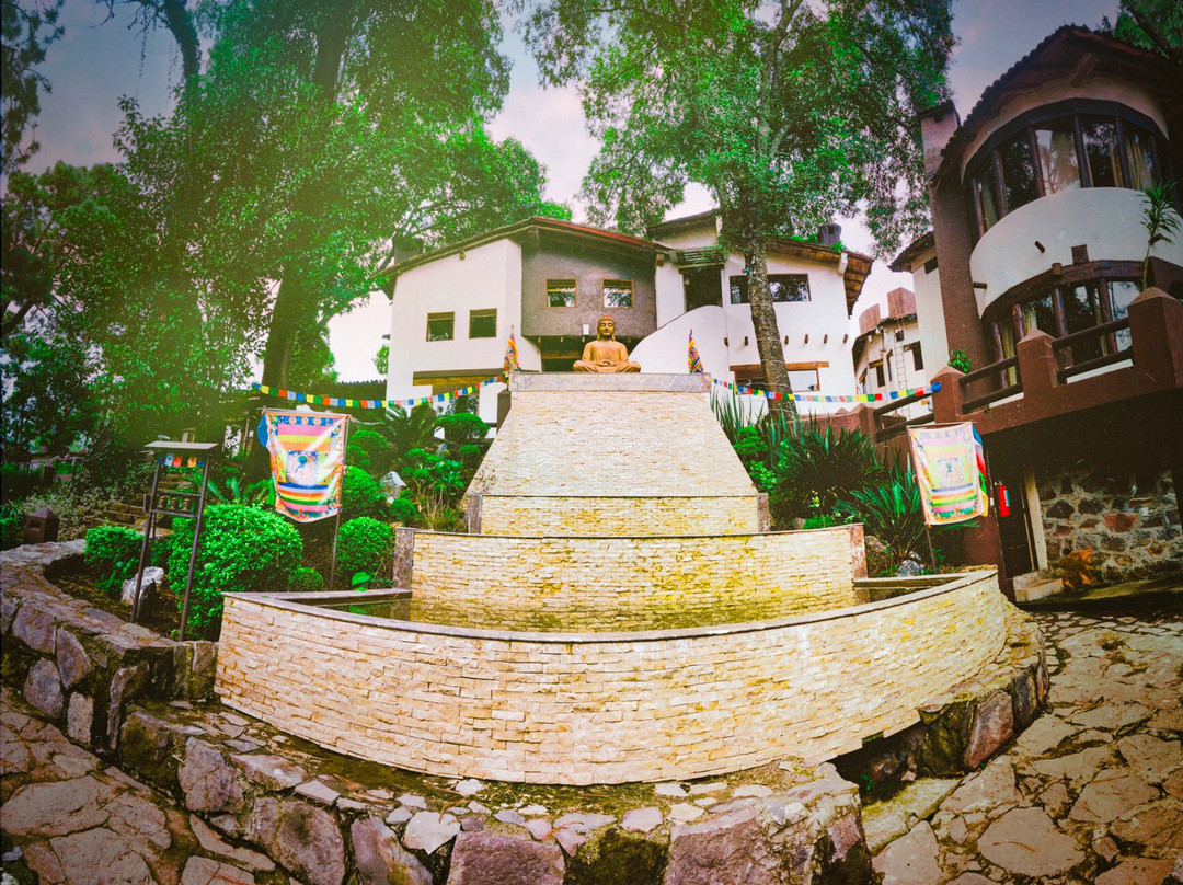 Loto Azul Hotel & Spa主图