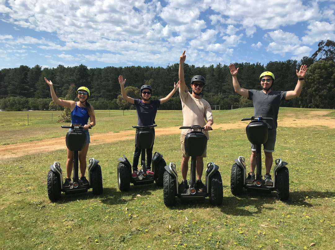 Albany Segway Tours-奥尔巴尼必去景点