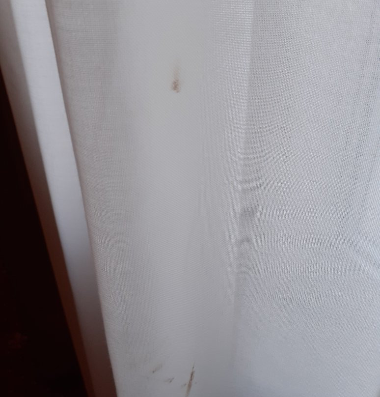 Hotel Perlage Florence主图