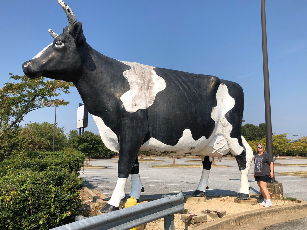 Kadie the Cow of Columbus景点图片