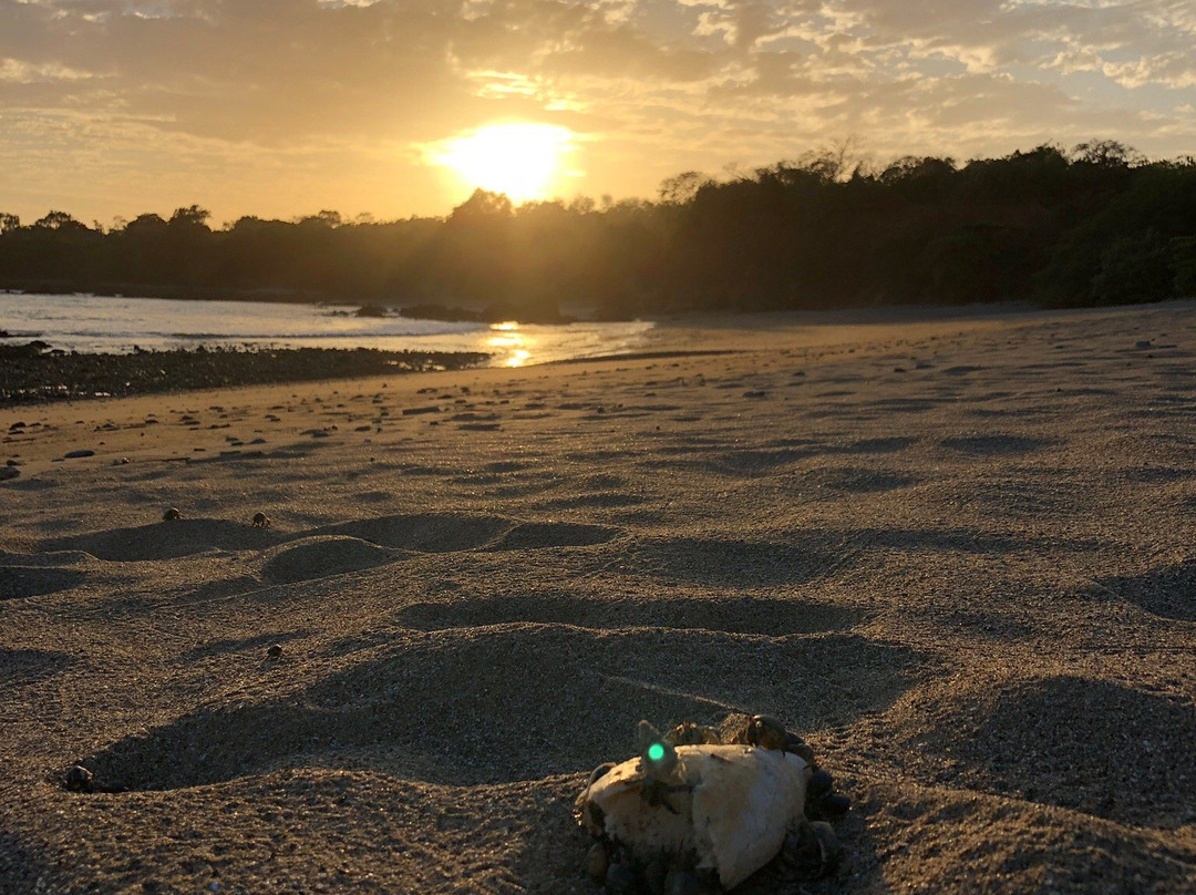 Playa Los Destiladeros景点图片