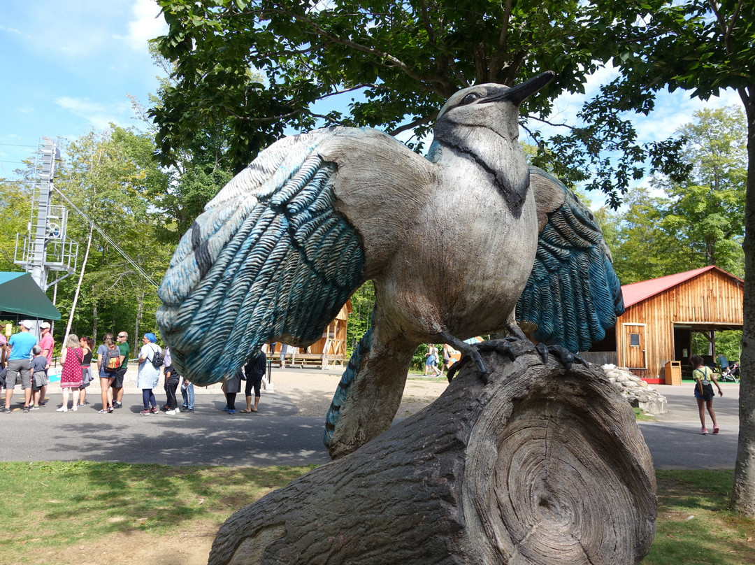 Centre de ski Mont Sainte-Anne-Saint-Ferreol-Les-Neiges必去景点