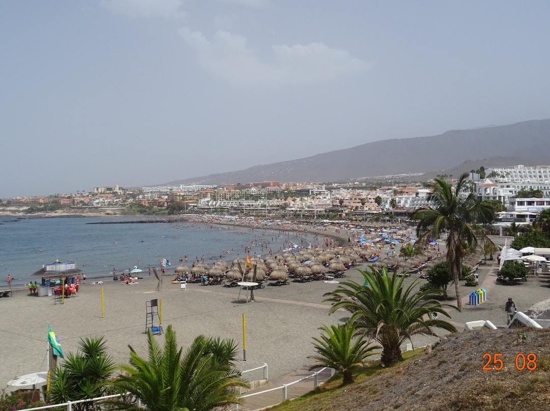Playa de Torviscas景点图片