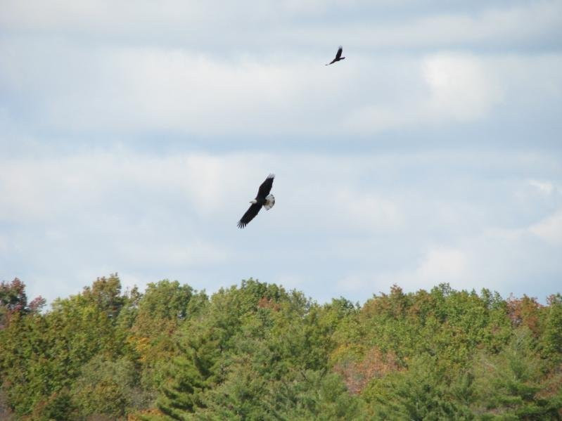 Meadow Park Lake-Crossville必去景点