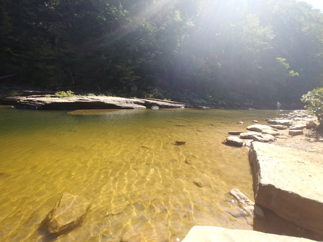 Big Soddy Creek Gulf-Soddy Daisy必去景点