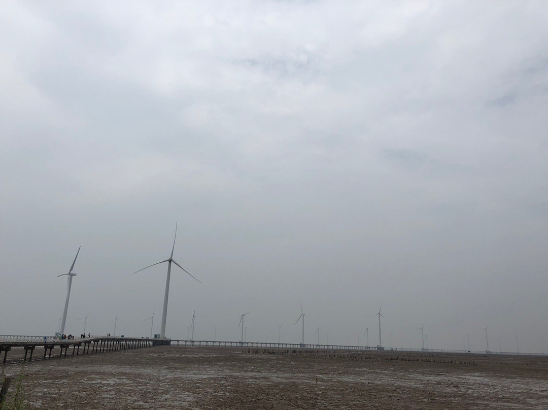 Wind Farm Bac Lie-Bac Lieu必去景点