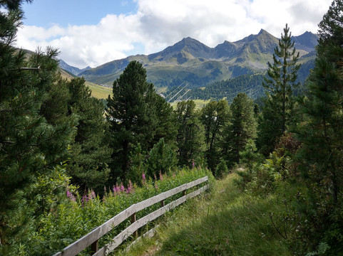 Ochsengarten旅游攻略图片