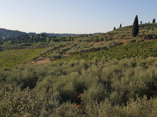 Agriturismo Cameli主图