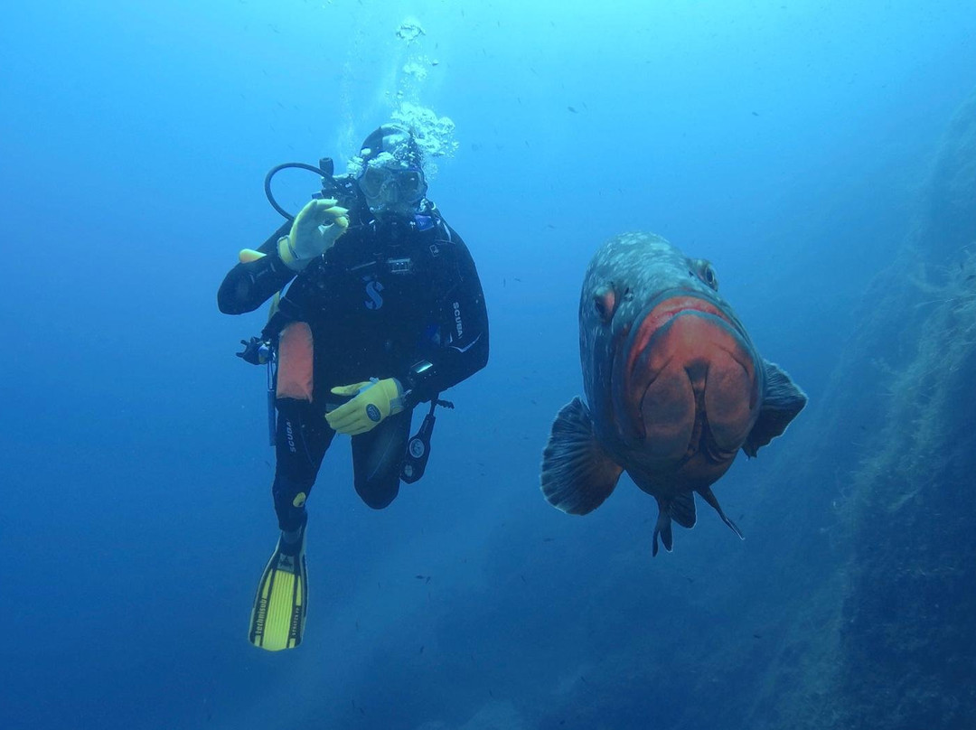 mandel Diving Center景点图片