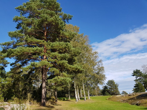 Lake Vanern-Amal必去景点