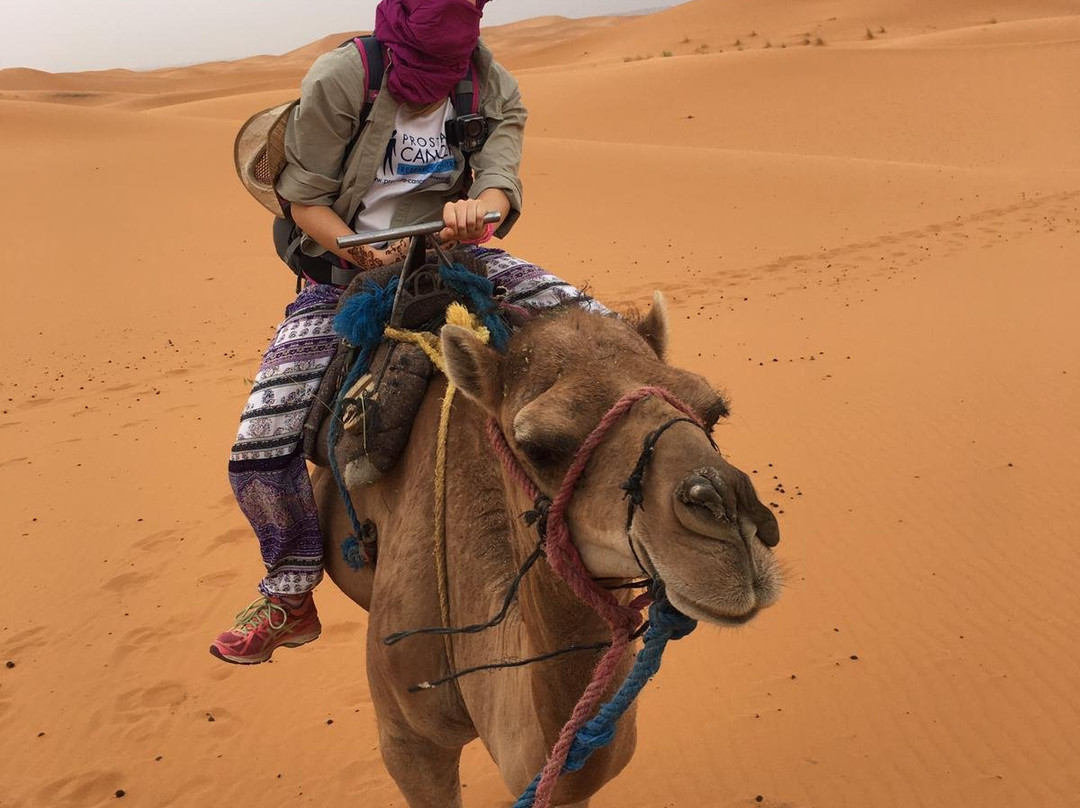 Toubkal Treks-伊姆利勒必去景点