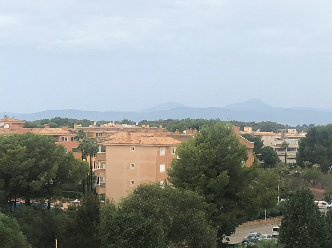 奥拉马约里酒店主图