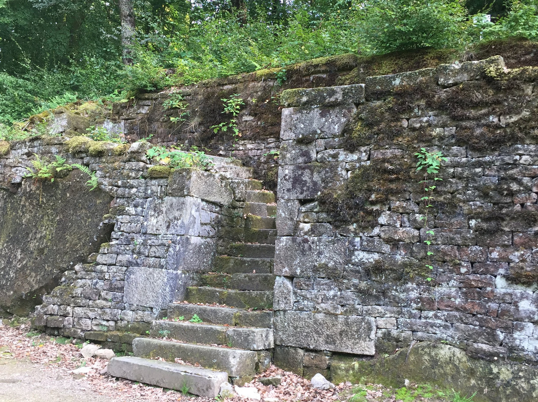 Parc Animalier de Fougerolles - Saint-Valbert-Fougerolles必去景点