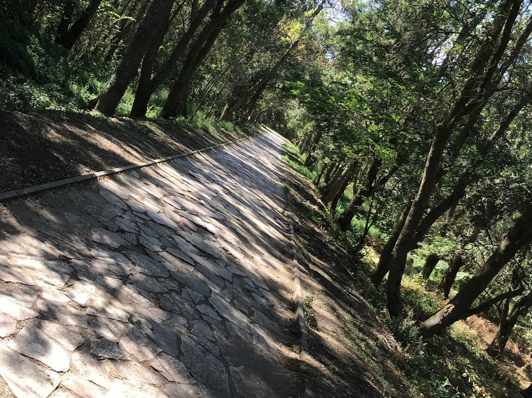 Kuscenneti Milli Parki-巴勒克西尔必去景点