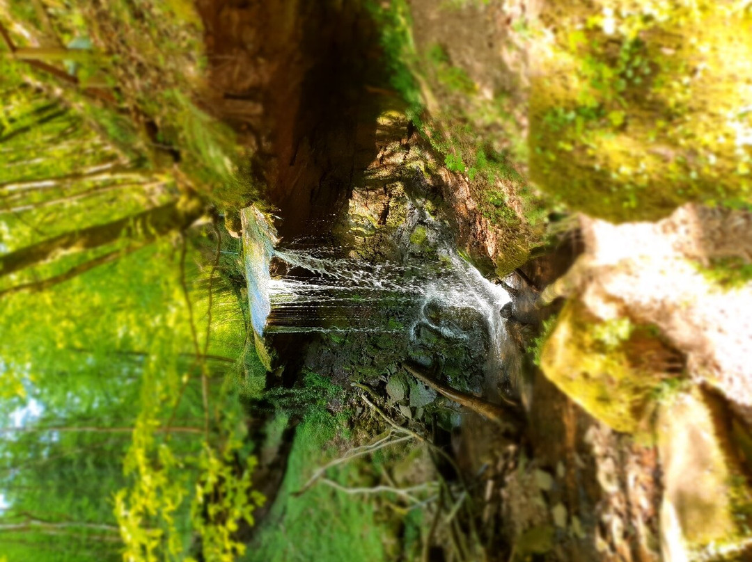 Der Römerpfad im Butzerbachtal
