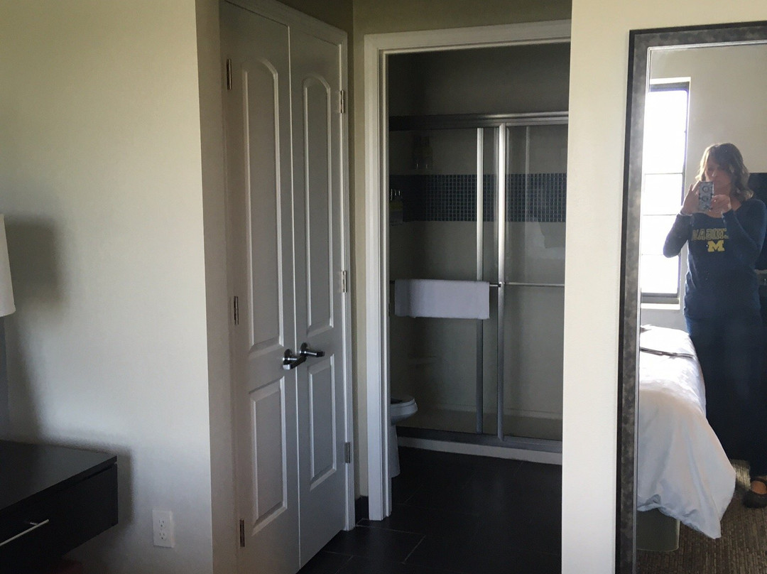 Staybridge Suites Ann Arbor - Univ of Michigan by IHG主图