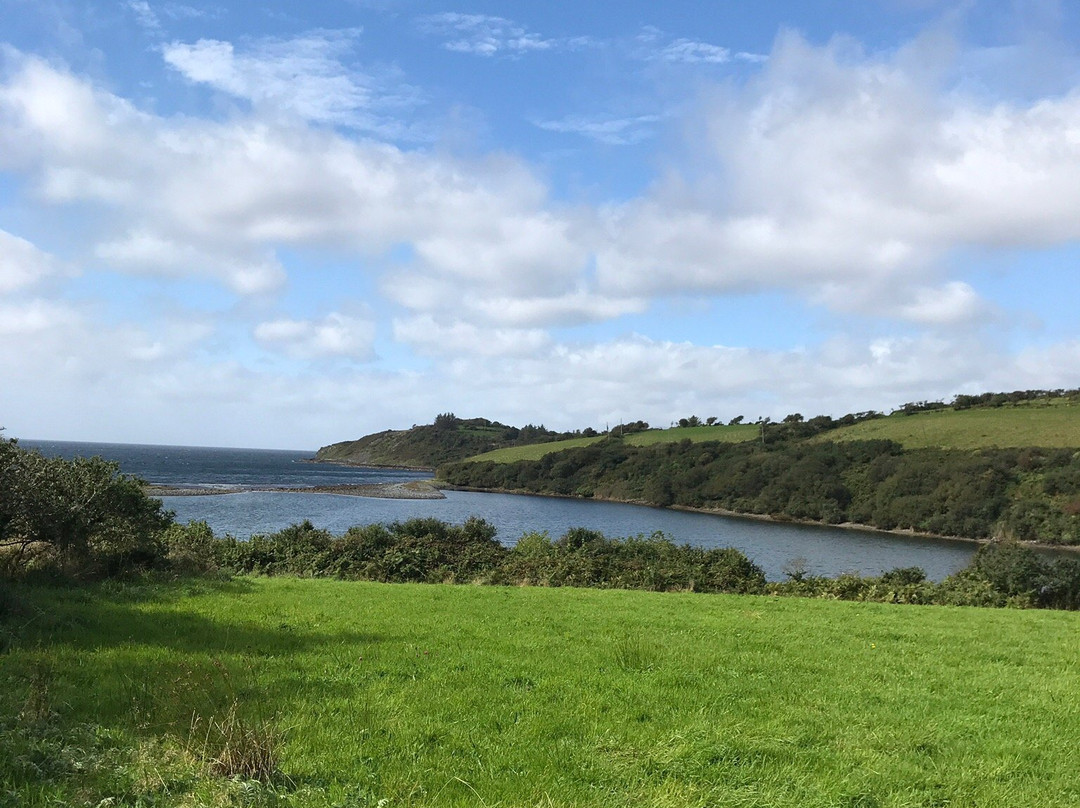 Whiddy Island Ferry-Bantry必去景点