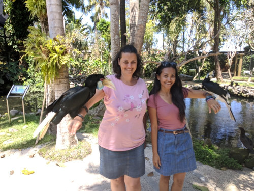 Zero Gravity Diving-沙努尔必去景点