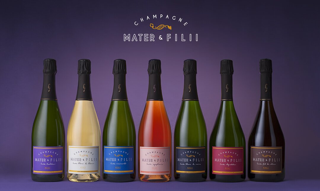 Champagne Mater & Filii景点图片