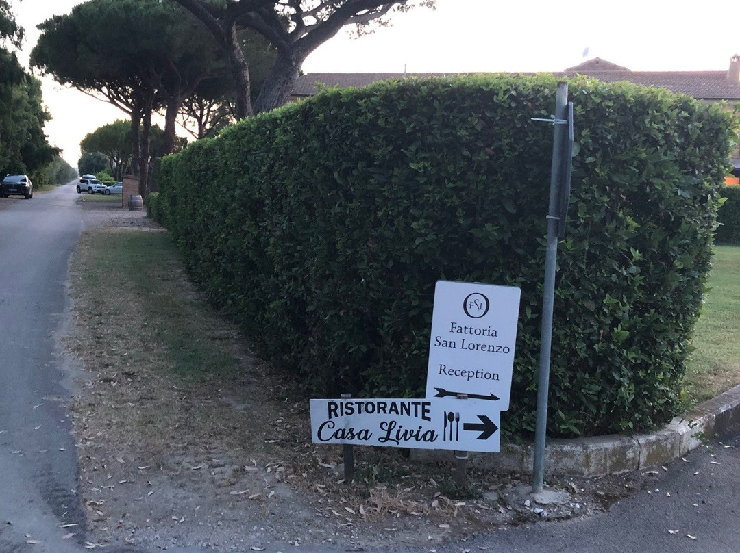 Fattoria San Lorenzo主图