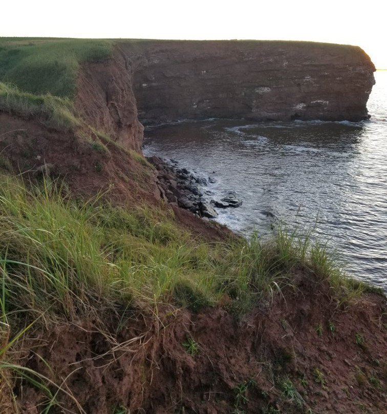 Cape Tryon Lighthouse景点图片