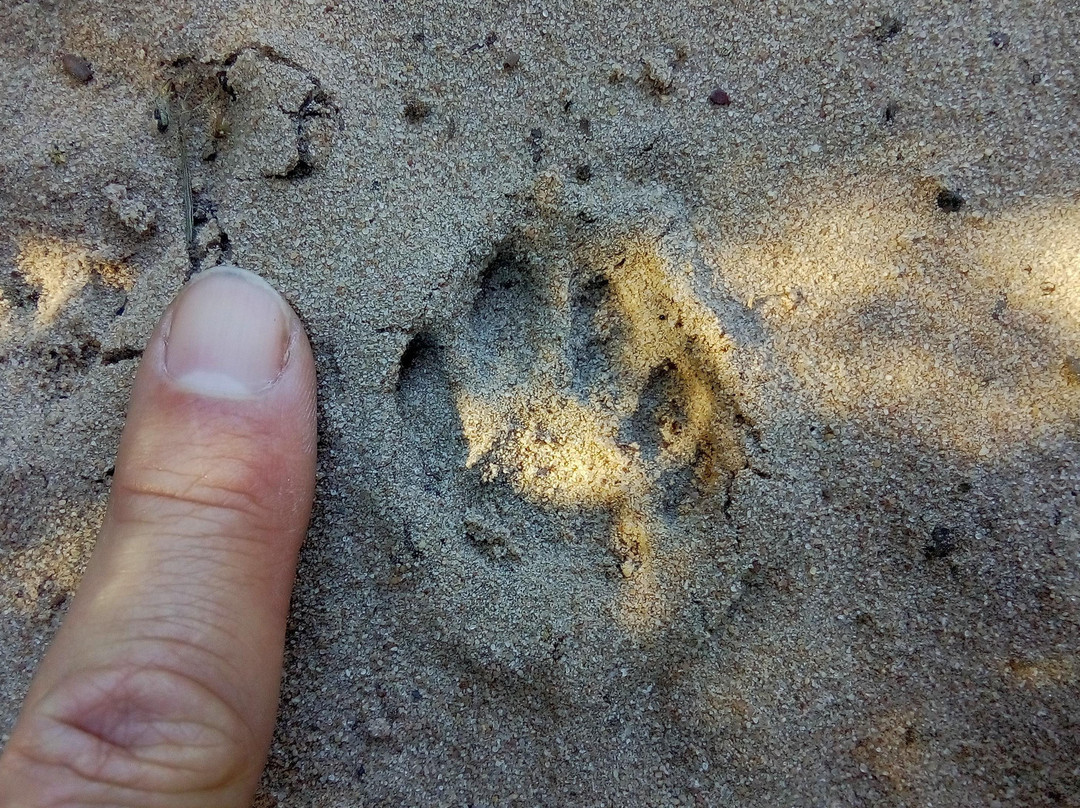 Guided Marine Tours - Port Elizabeth, South Africa-伊丽莎白港必去景点