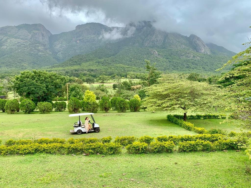 The Monarch Safari Park主图