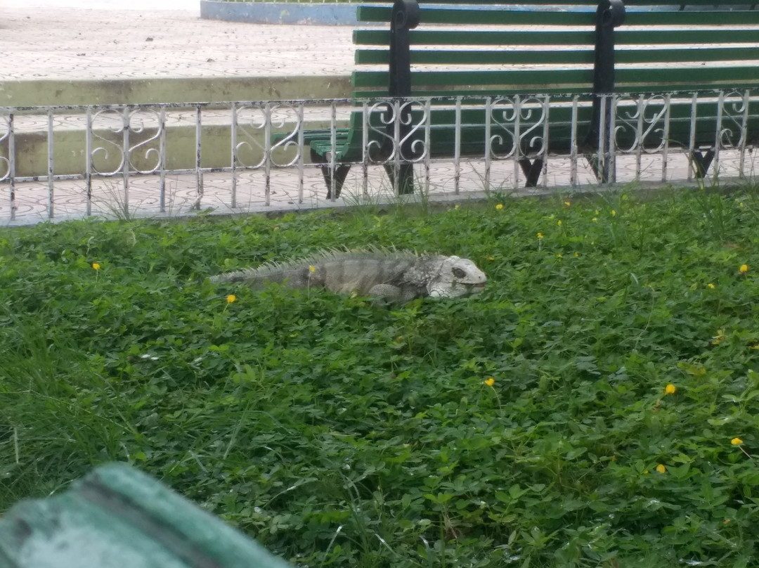 Zapotillo旅游攻略图片