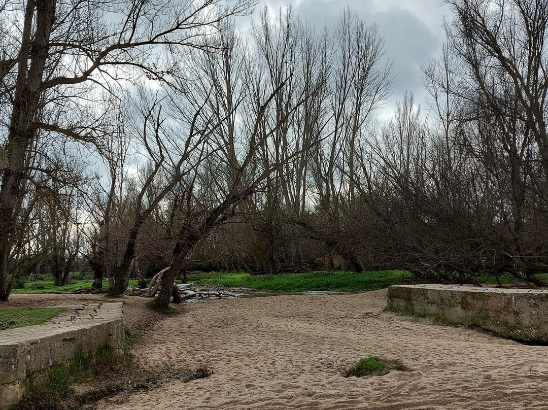 Puente La Raya