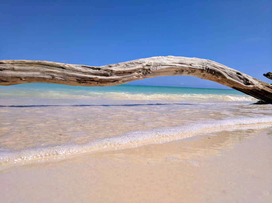 Cayo Jutia Beach景点图片