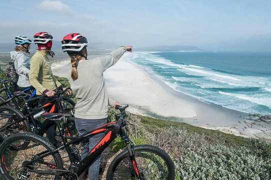 EBike Animal Ocean-木湾必去景点