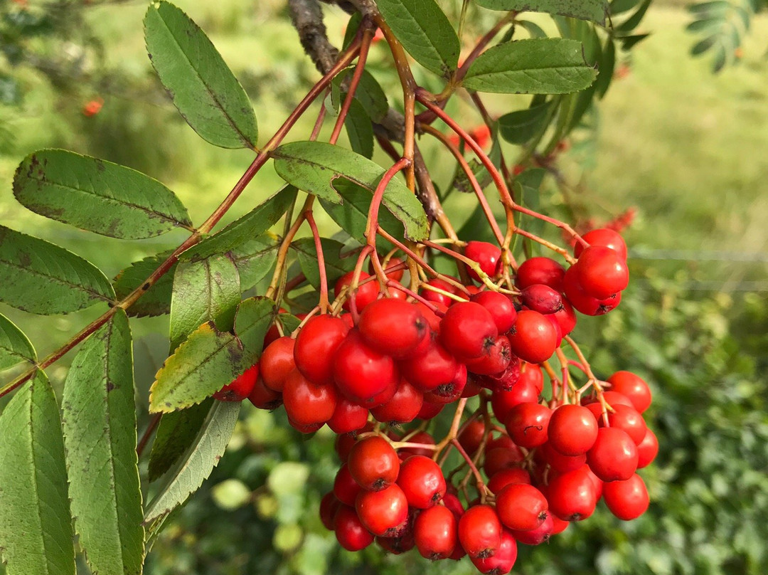 Avalon Guest House主图