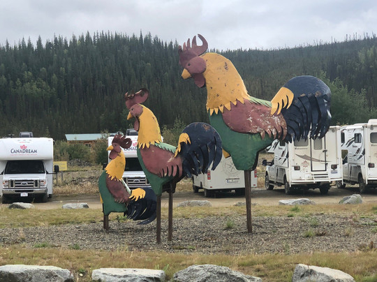 Chicken Gold Camp & Outpost-Chicken必去景点