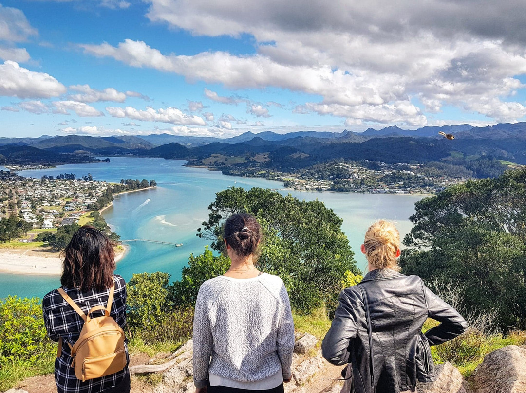 Kiwi Day Trips景点图片