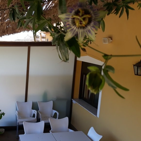 Hotel Meson el Castillo主图