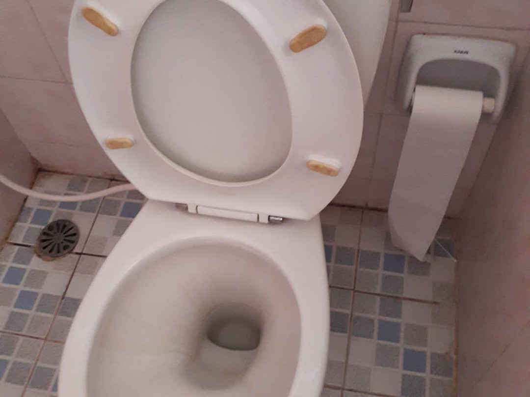 Bagus Beach Resort主图