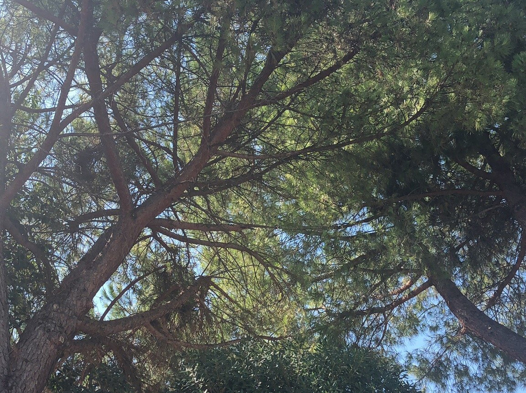 Stadio del Nuoto-基耶蒂必去景点