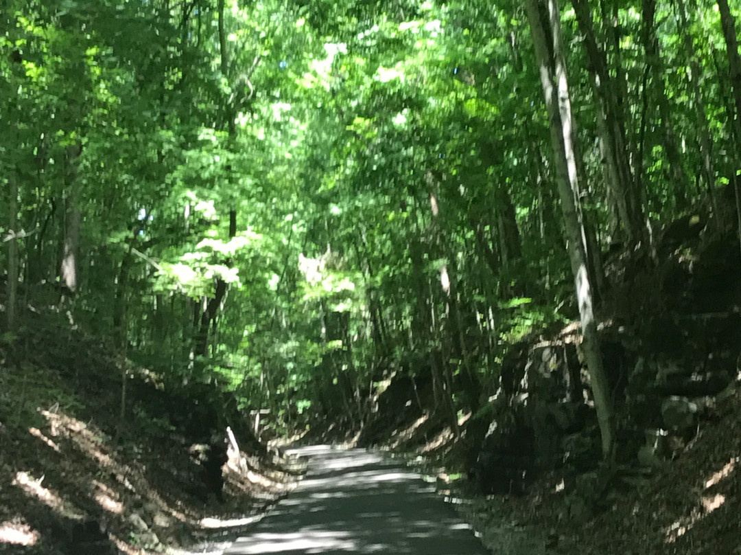 Clarksville Greenway-克拉克斯维尔必去景点